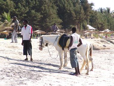 Gambia 02 Der Strand,_DSC00060b_B740